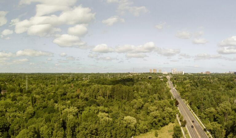 Scenic east-facing view from Bayview Woods, showcasing tree-lined roads and city skyline.