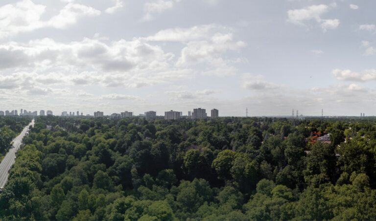 Panoramic north-facing view from Bayview Woods, showcasing greenery and city buildings.