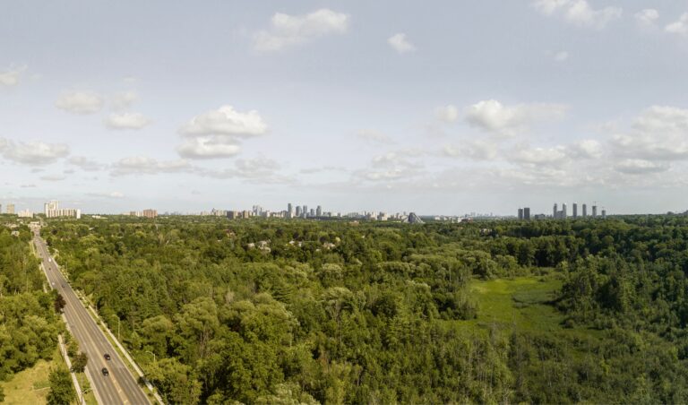 A panoramic south-facing view from Bayview Woods, showcasing lush greenery and urban skyline.