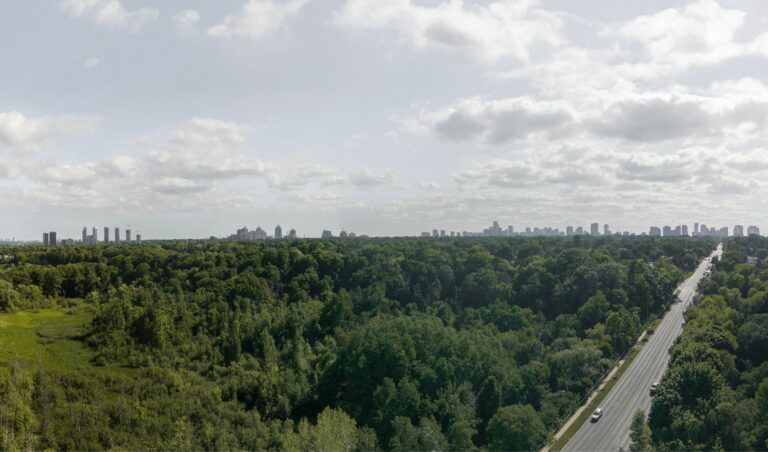 Aerial west-facing view from Bayview Woods, highlighting scenic roads and high-rise buildings.